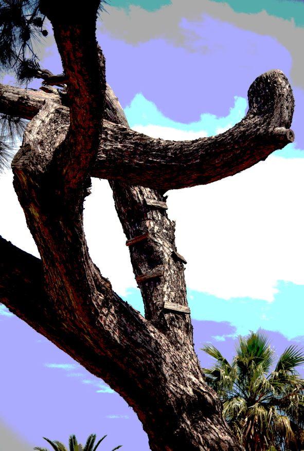 img.2478.jpg