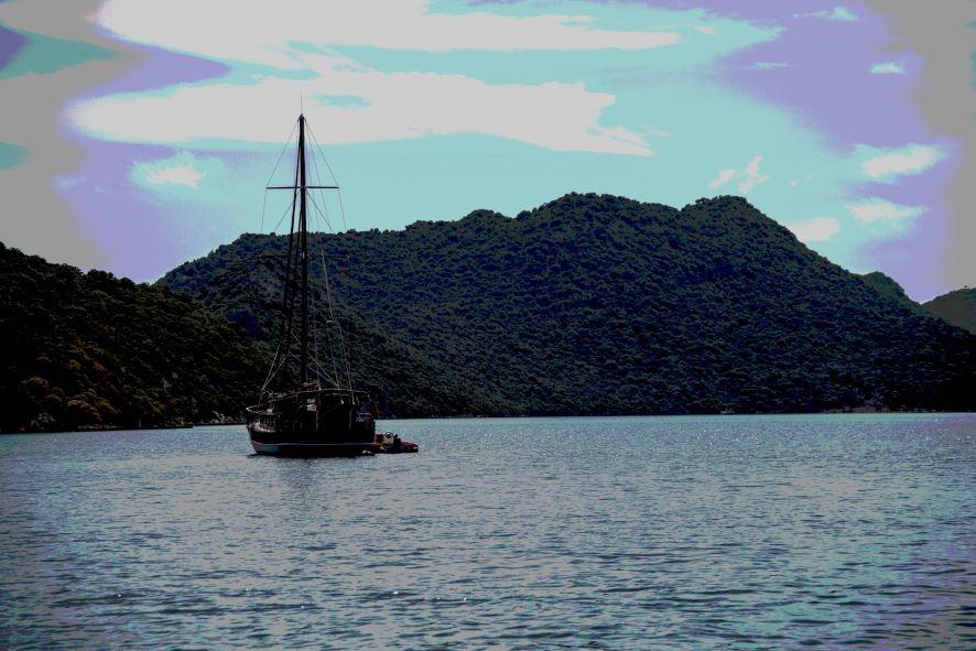 img.2479.jpg