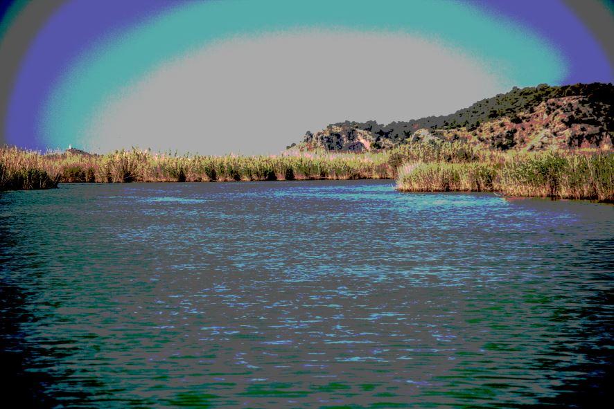 img.2521-1.jpg