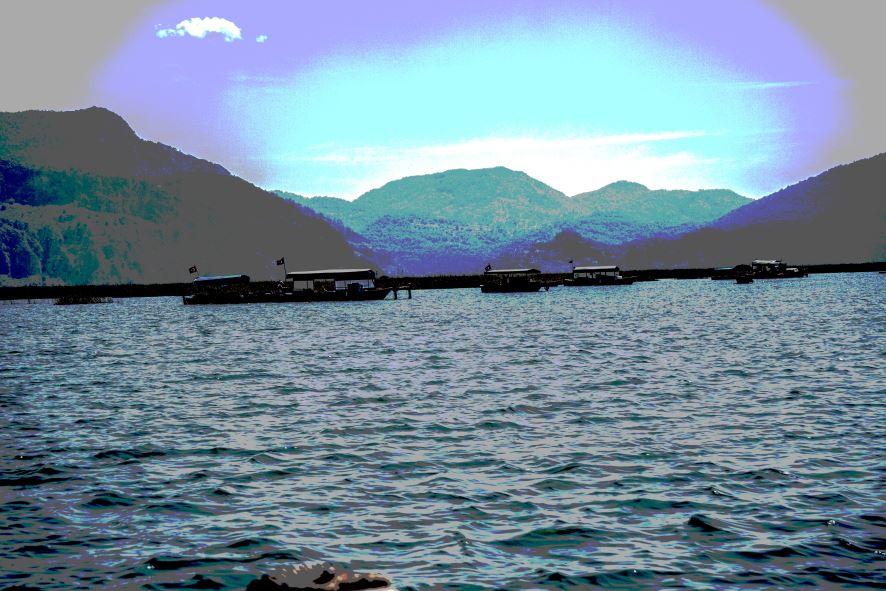 img.2530.jpg