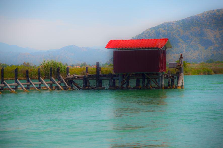 img-2535.jpg