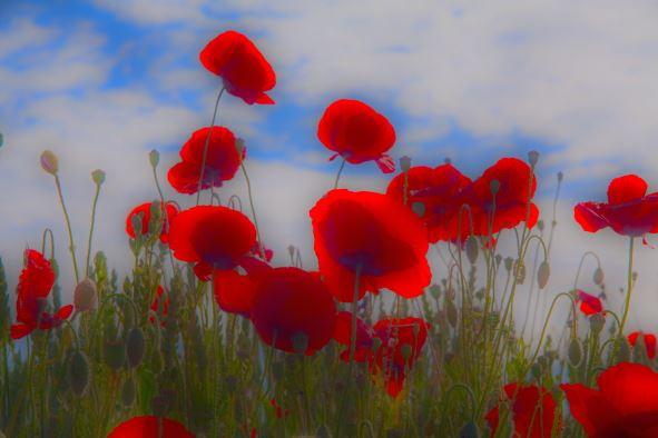 img.3897.jpg